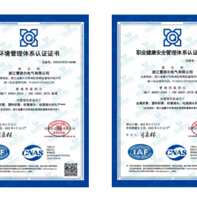 雷諾爾電氣順利通過ISO14001和ISO45001環境、安全管理體系認證